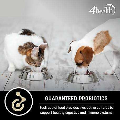 Small Bites Adult Chicken Formula Dry Dog Food C285
