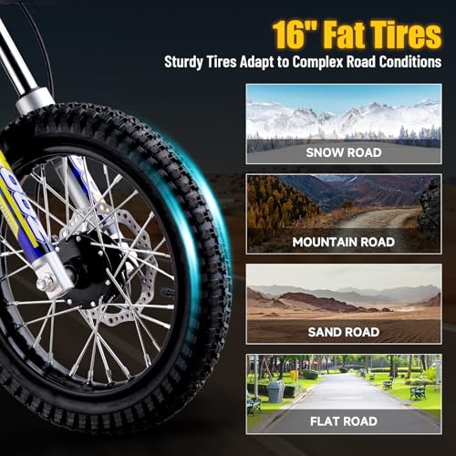 Orange 36V 1000W Electric Dirt Bike with 16" Tire Q818