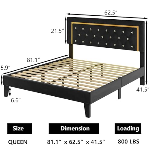 Black Upholstered Platform Bed Frame with LED Light T688