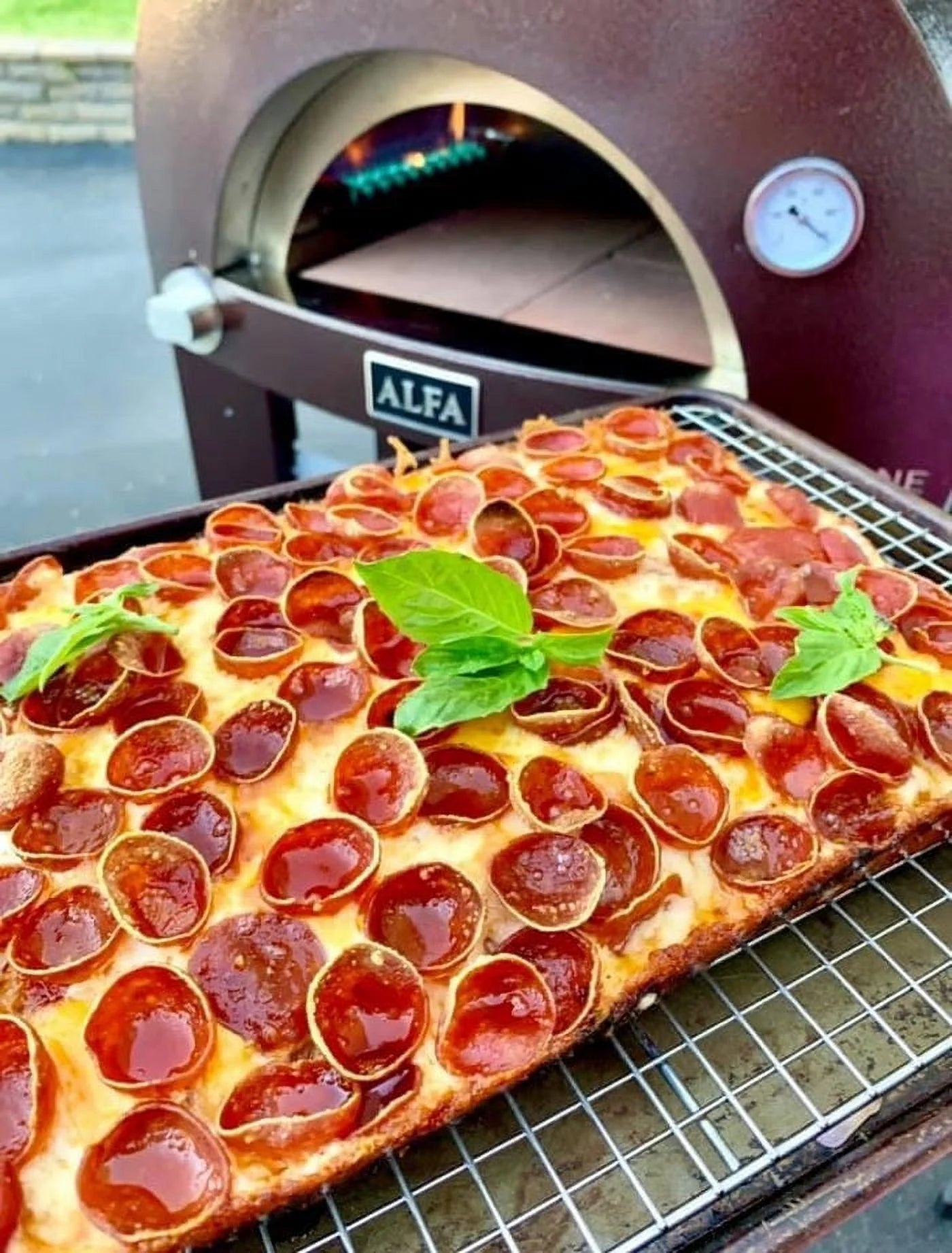 Nano Gas or Wood Fire Hybrid Pizza Oven A9234