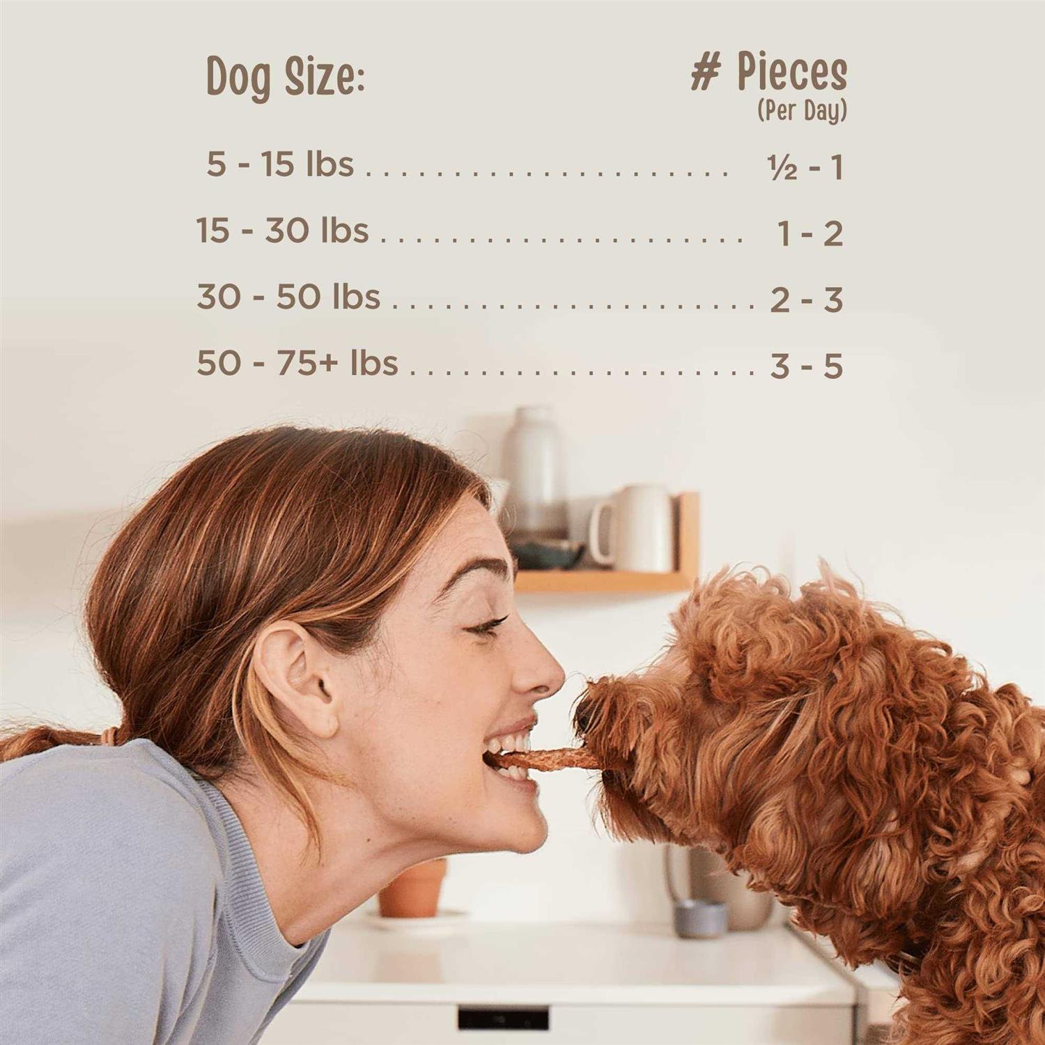 Duck Jerky Tenders Dog Treats F4633