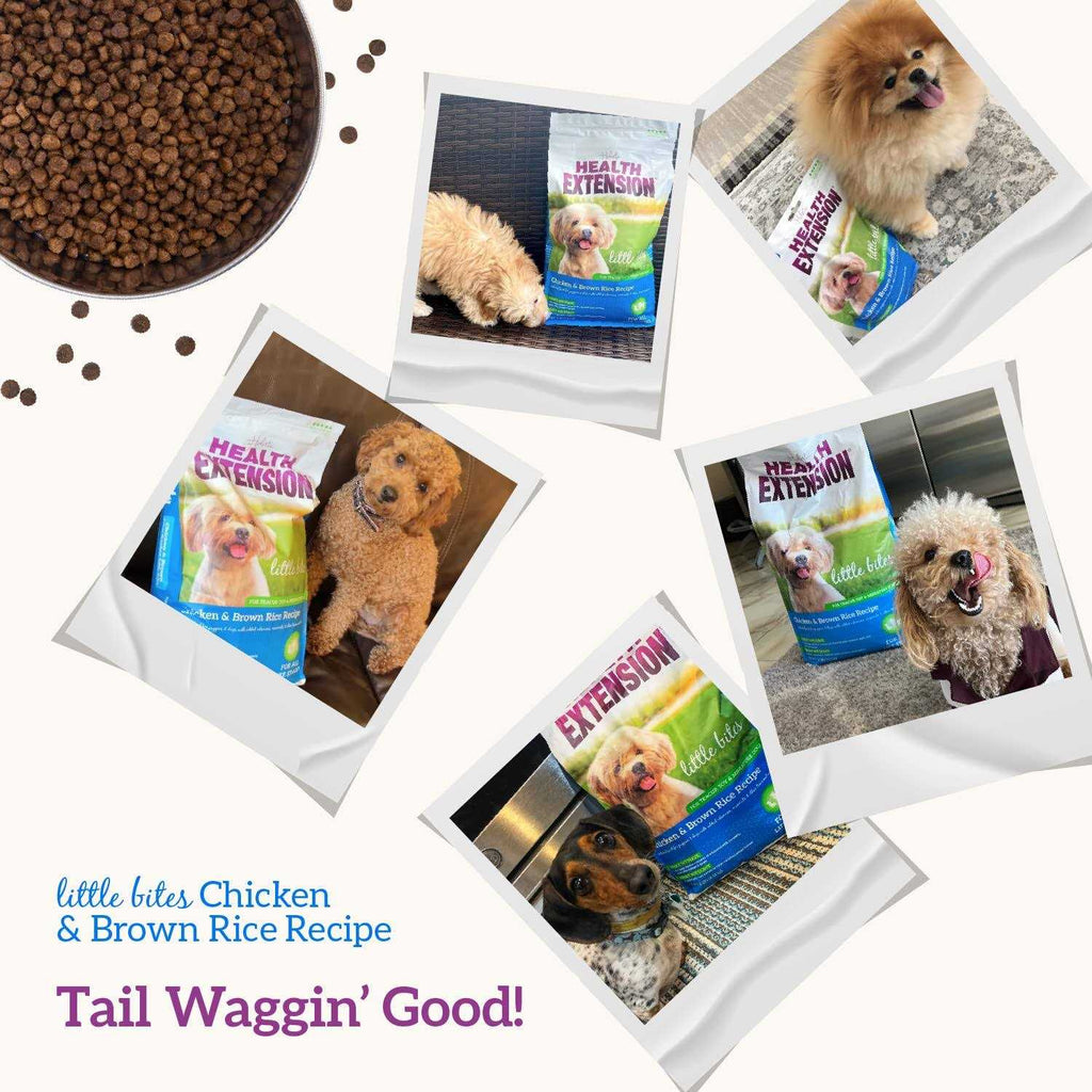 Little Bites Chicken & Brown Rice Dry Dog Food Y879645