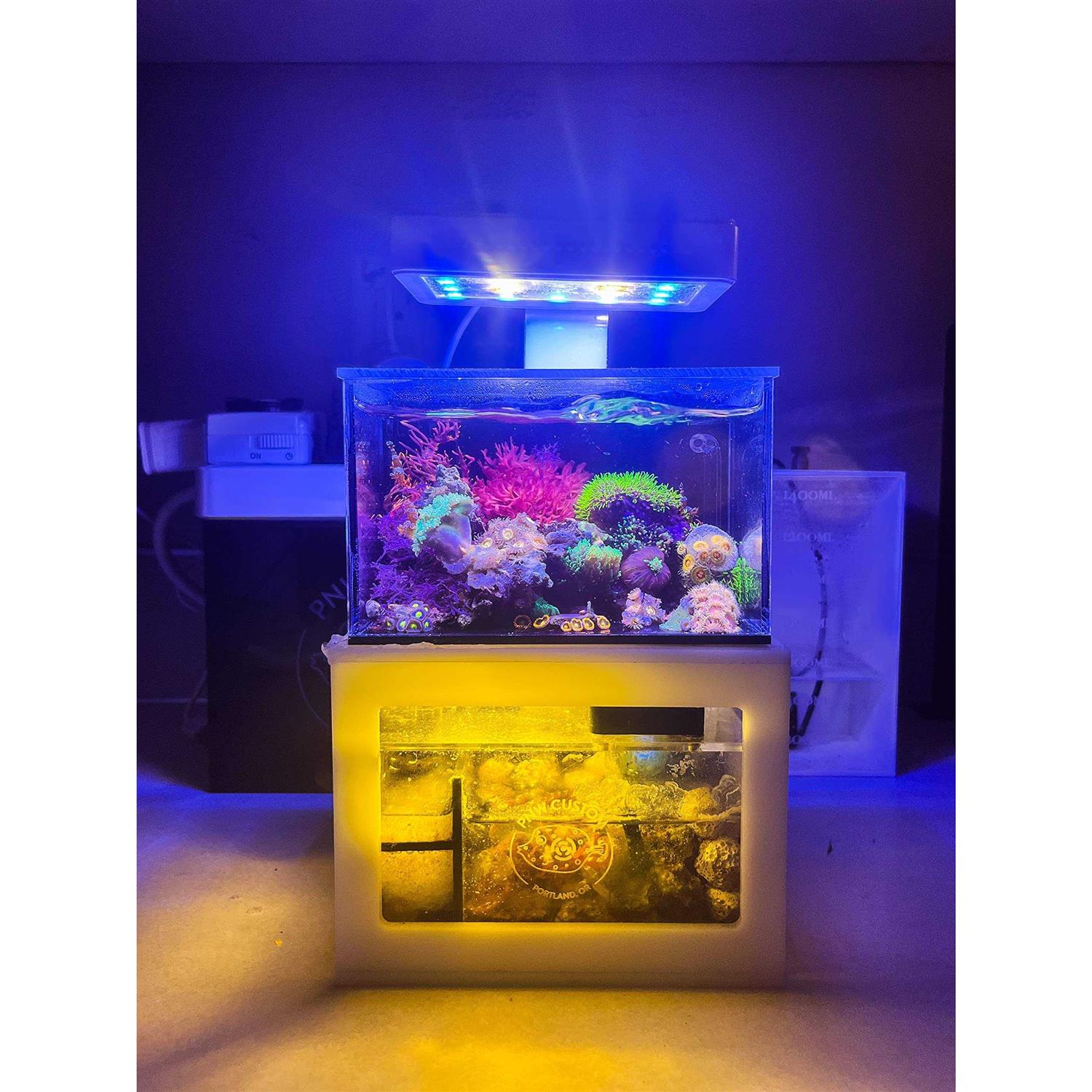 Desktop Aquarium E411