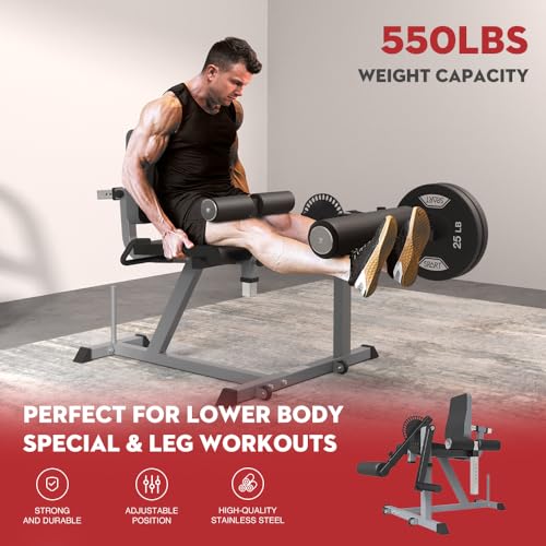 Adjustable Leg Extension and Curl Machine Z724