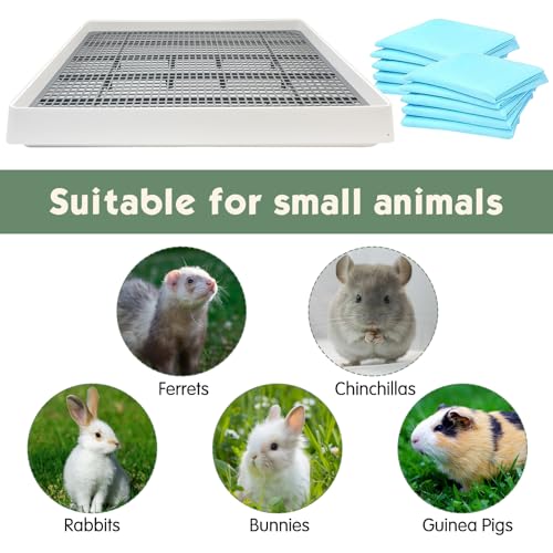 Rectangular Small Animal Litter Box with Grid B228753