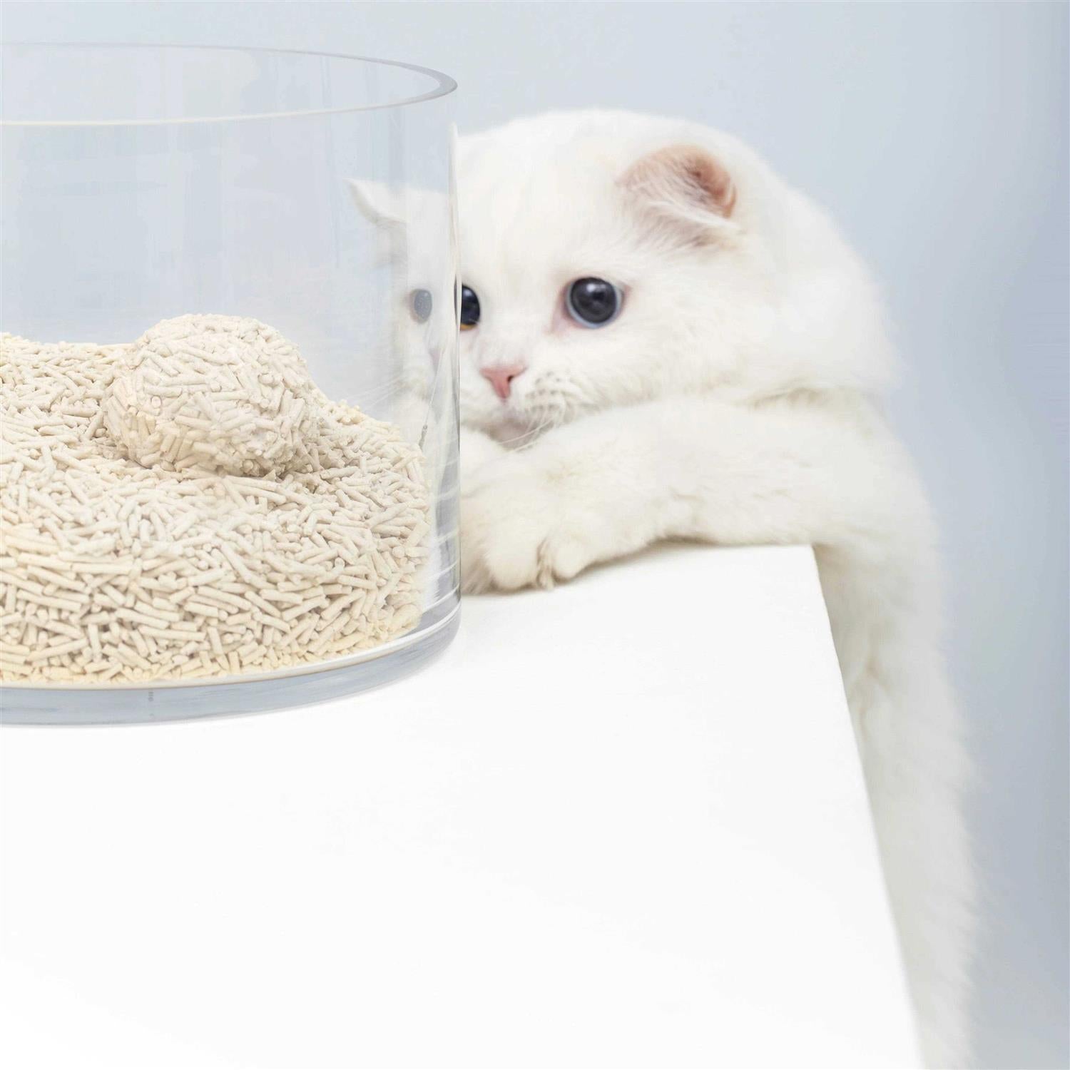 Natural Clumping Tofu Cat Litter 5.5lb T477482