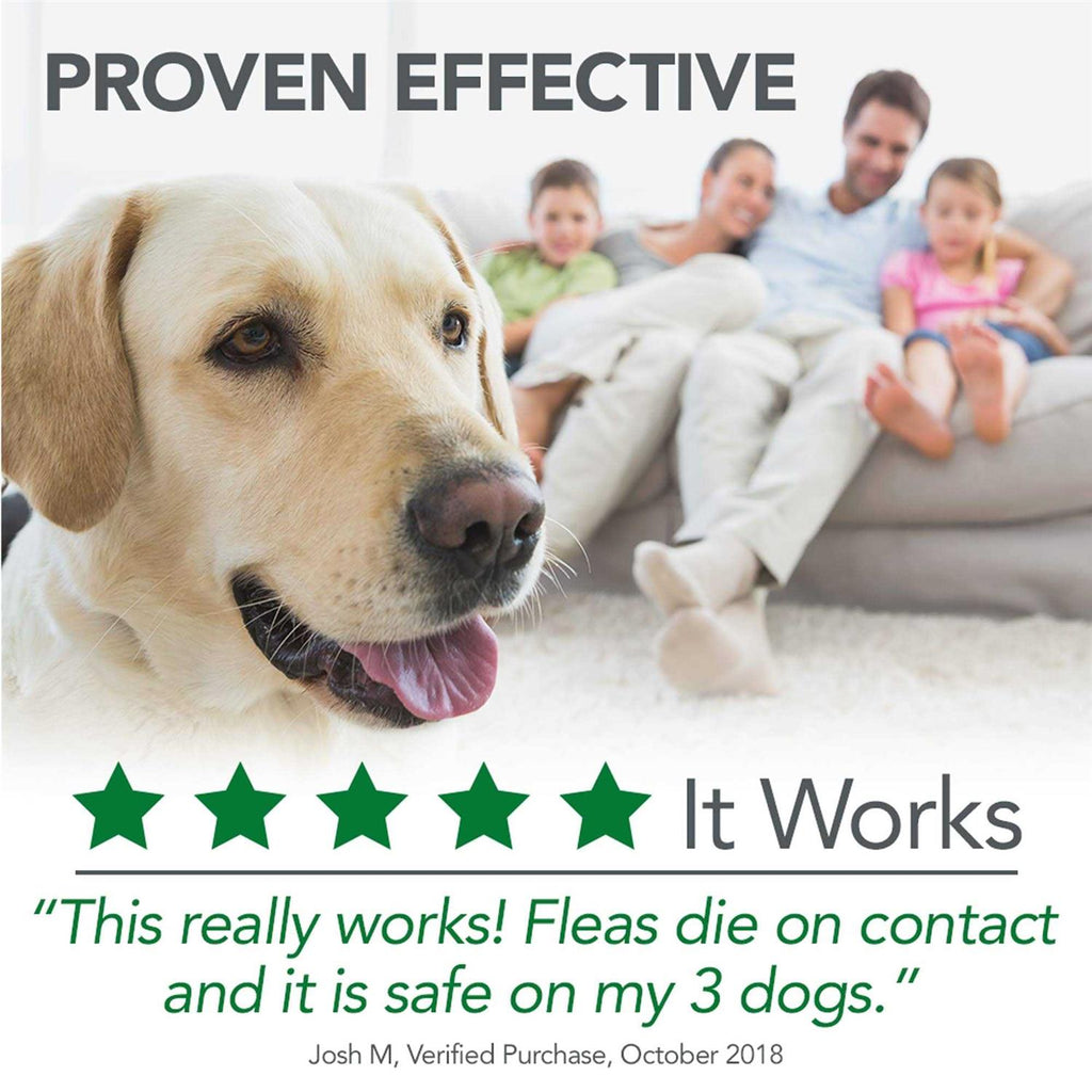 Flea Tick Home Spray S58694