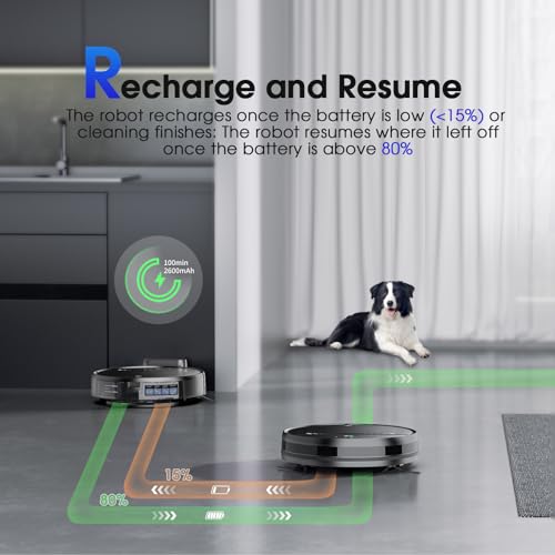 2-in-1 Robot Vacuum and Mop with Strong Suction R6501