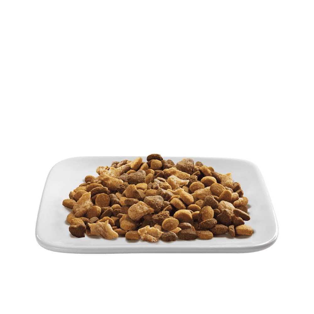 Indoor Hairball Management Shredded Blend Turkey & Rice Formula Dry Cat Food O209