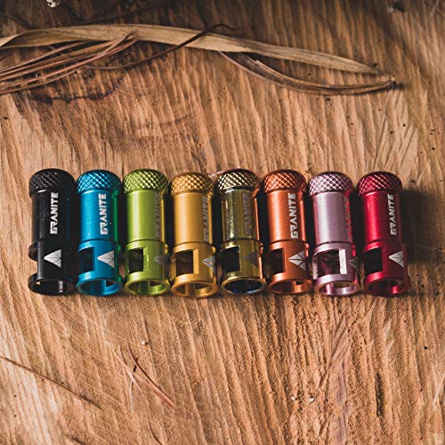 Alloy Tire Valve Cap and Presta Valve Stem Set R658478