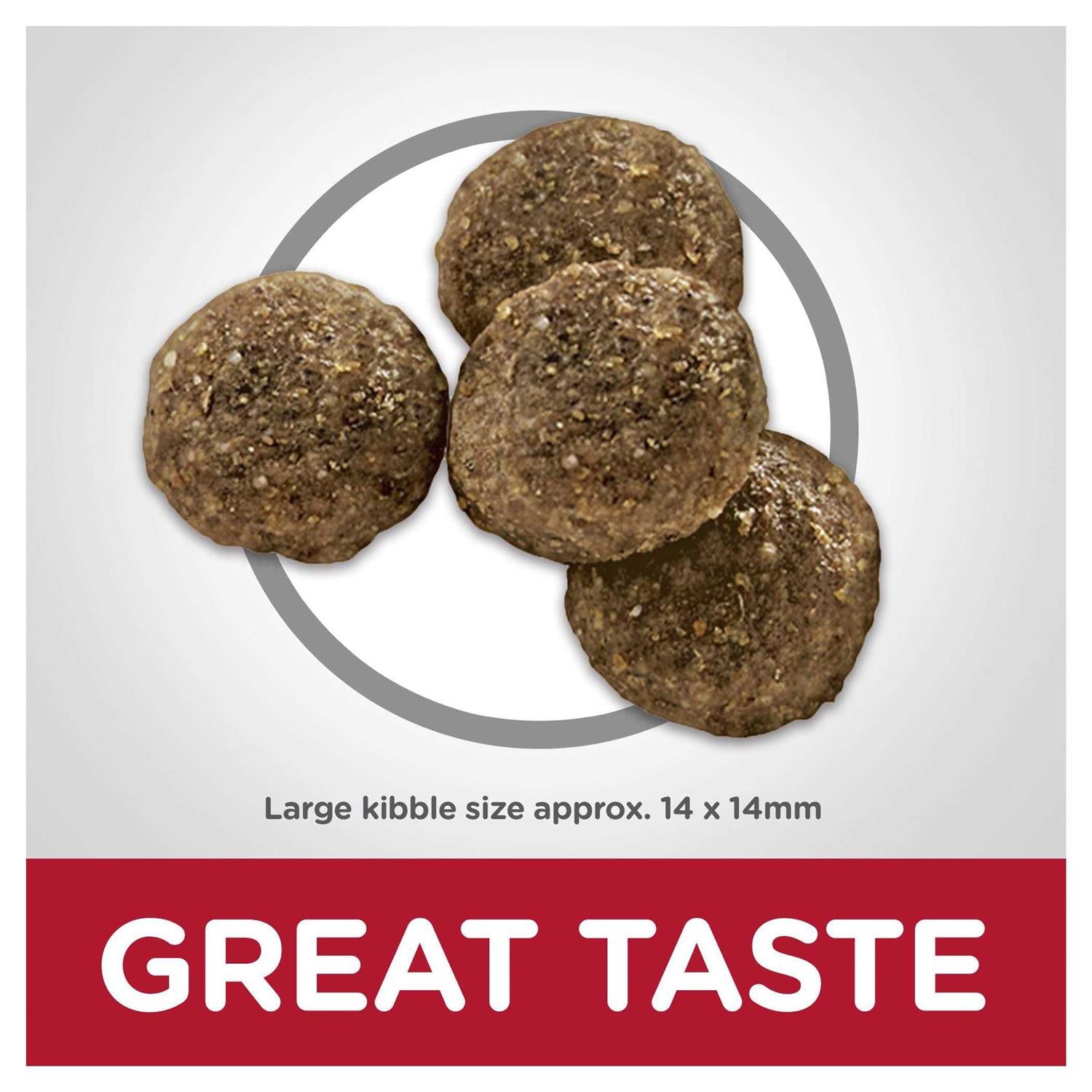 Adult Large Breed Lamb Meal & Brown Rice Dry Dog Food W5999
