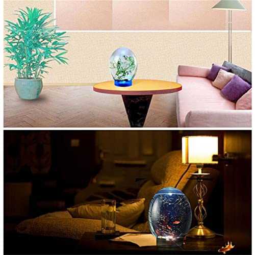 Mini Ecological Fish Tank, Closed Aquatic Ecosphere Desktop Aquarium with Led Base P21565