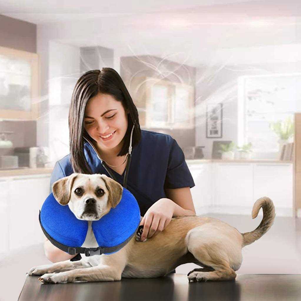 Protective Inflatable Cone Collar for Dogs and Cats E4301