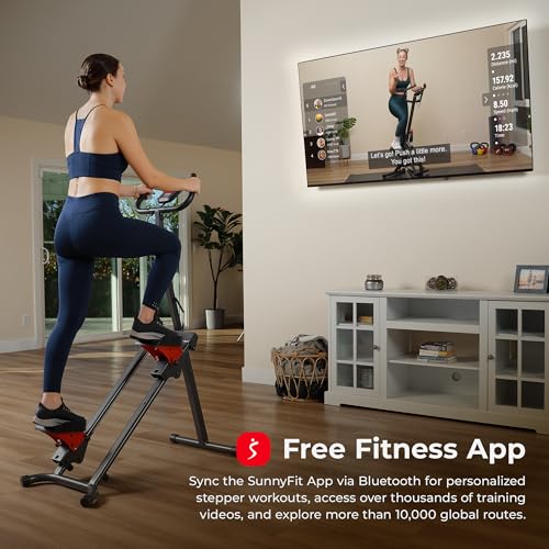 Stair Stepper with Handlebar Climber Machine W679