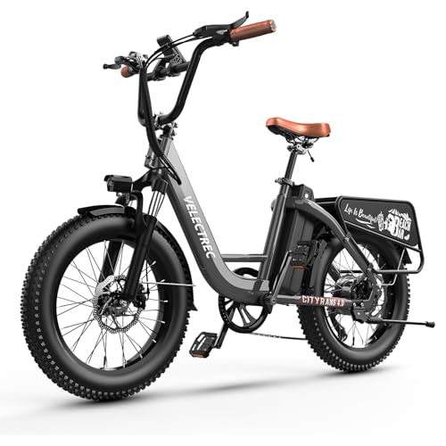 1500W 48V 18AH Removable Battery 20" x 4.0 Fat Tire 7-Speed Electric Bike W162