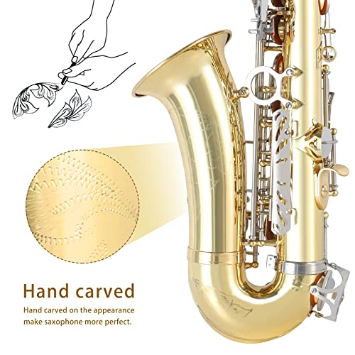 Black Nickel Alto Saxophone with Carrying Case P694703