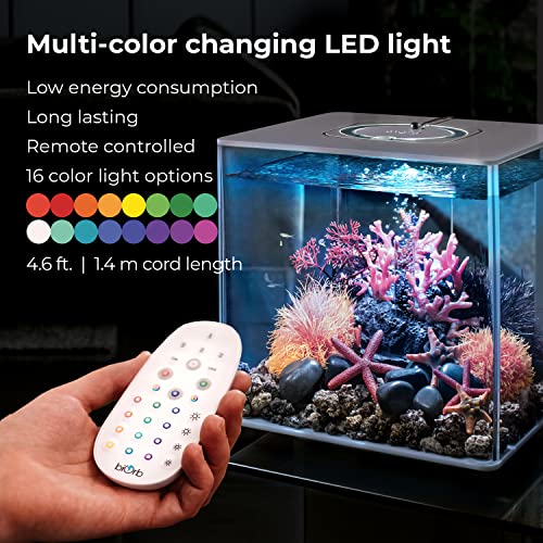 Black Acrylic 8-Gallon Aquarium with LED Lights H596