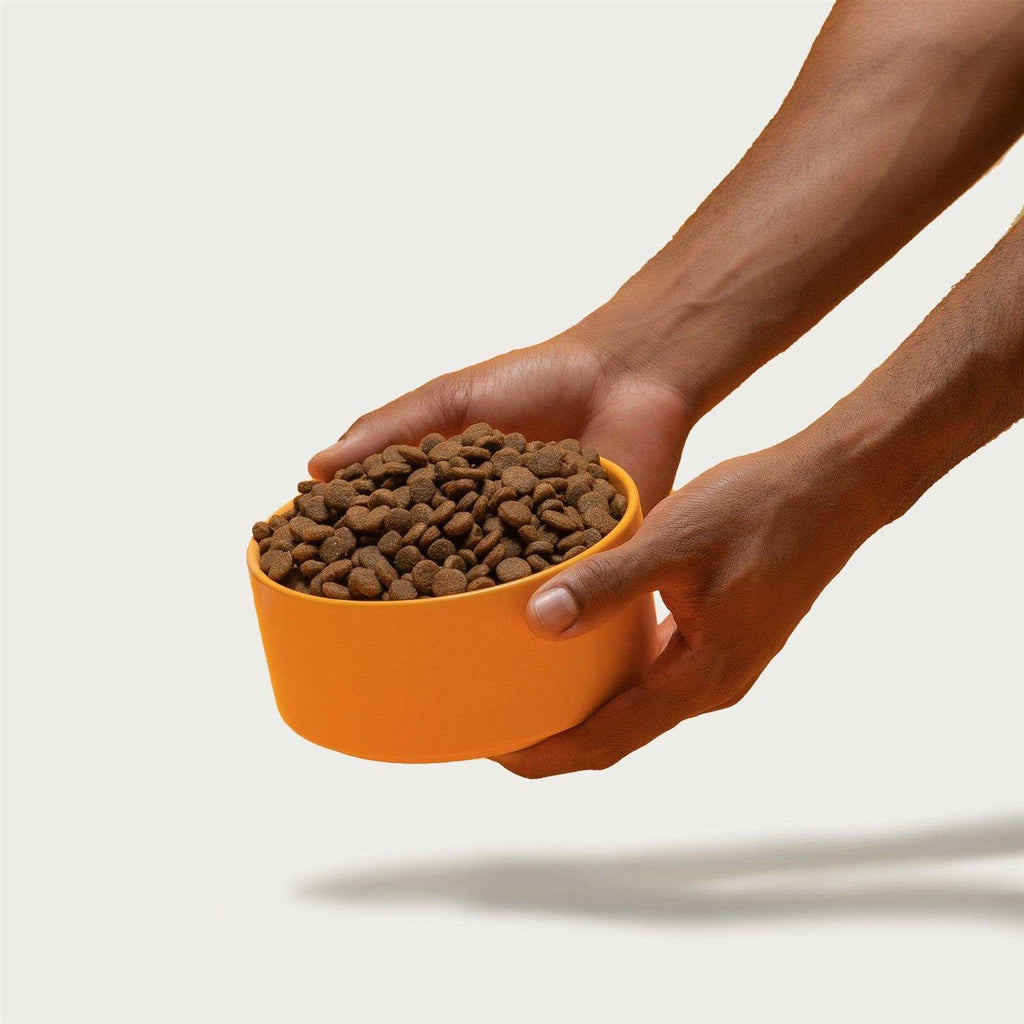 Chicken Brown Rice & Sweet Potato Dry Dog Food T190