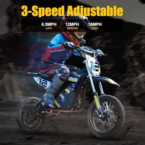 Orange 36V 1000W Electric Dirt Bike with 16" Tire Q818