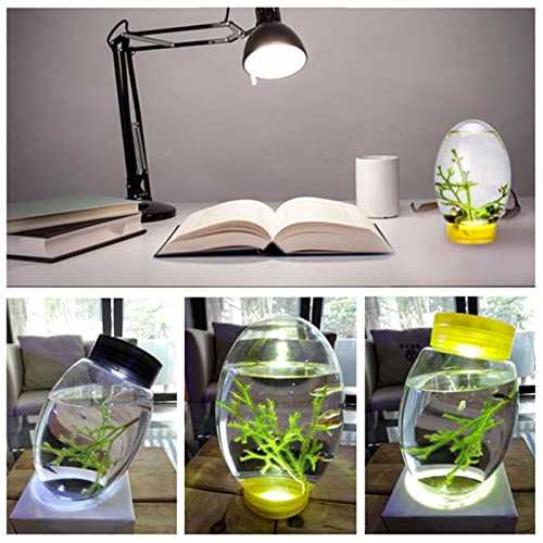 Mini Ecological Fish Tank, Closed Aquatic Ecosphere Desktop Aquarium with Led Base P21565