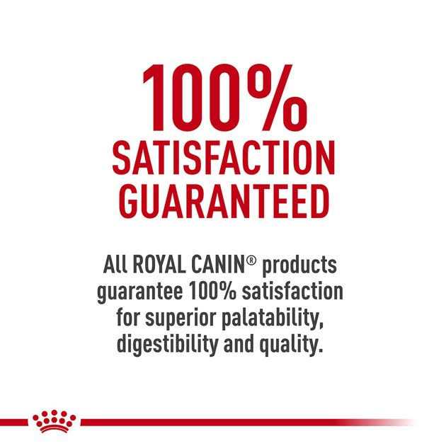 Ragdoll Adult Cat Food Q250610