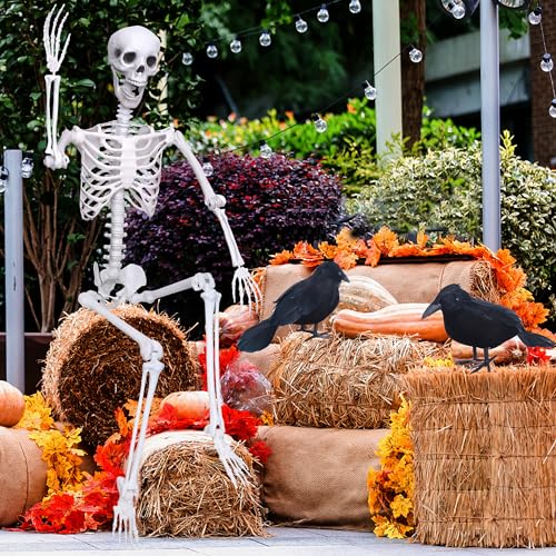 6Ft Posable Plastic Skeleton with 2PCS Black Crows H7620