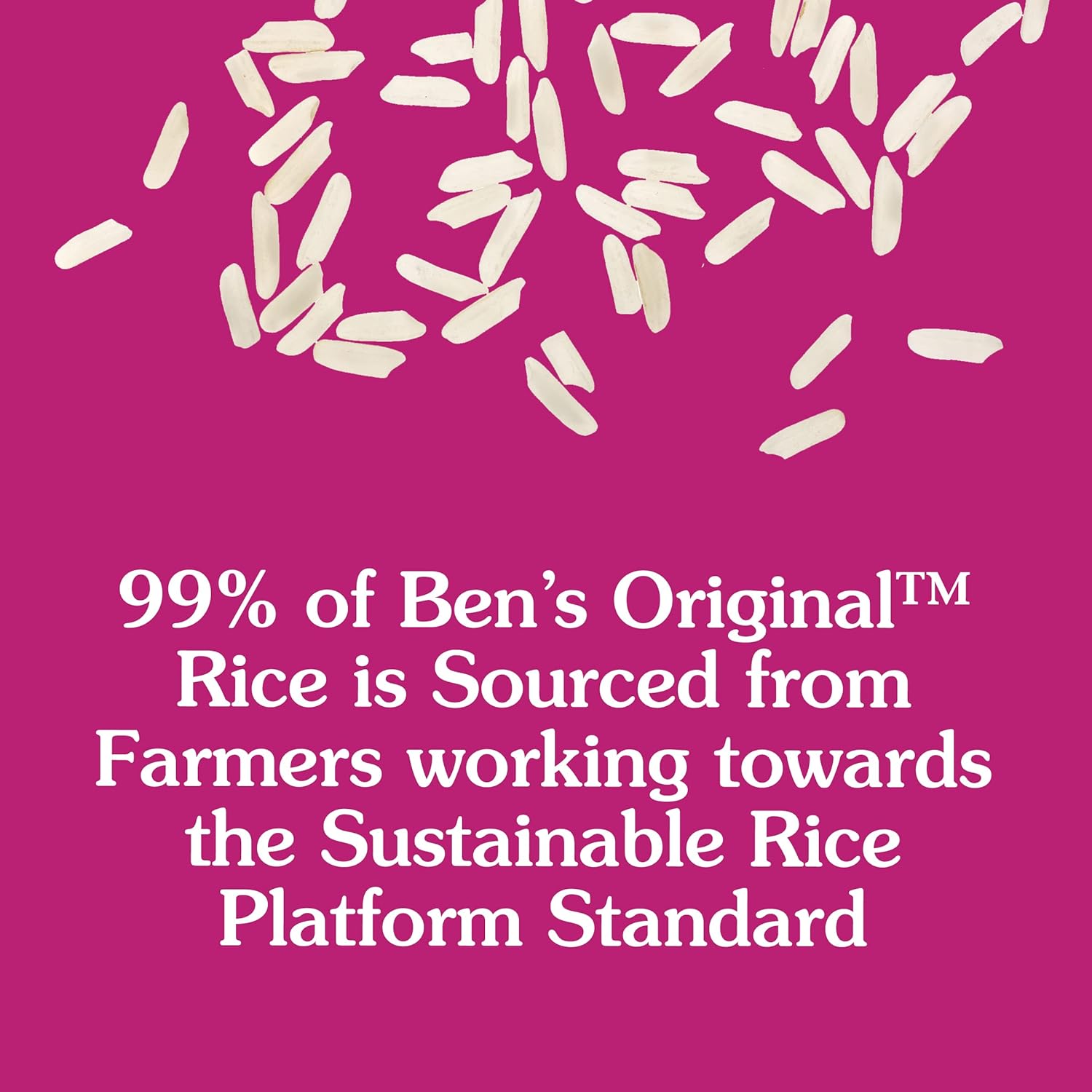 Enriched Long Grain White Rice, 10 lb Bag L259