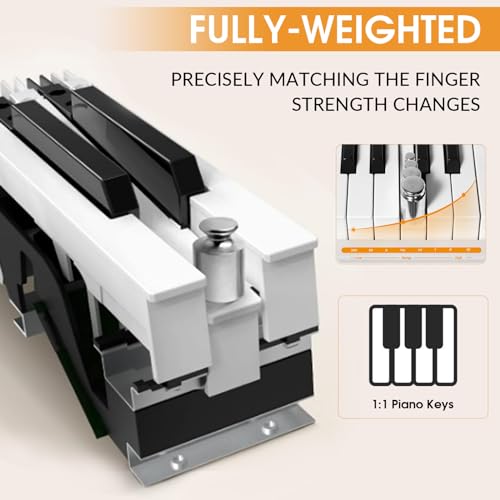88 Key Weighted Keyboard with Hammer Action, 2x30W Speakers, Adjustable Stand, Carrying Case, Sustain Pedal, Headphone, Black O1729