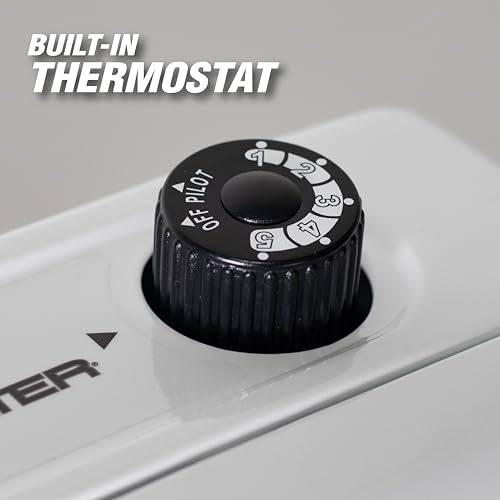 30,000 BTU Blue Flame Propane Heater R811