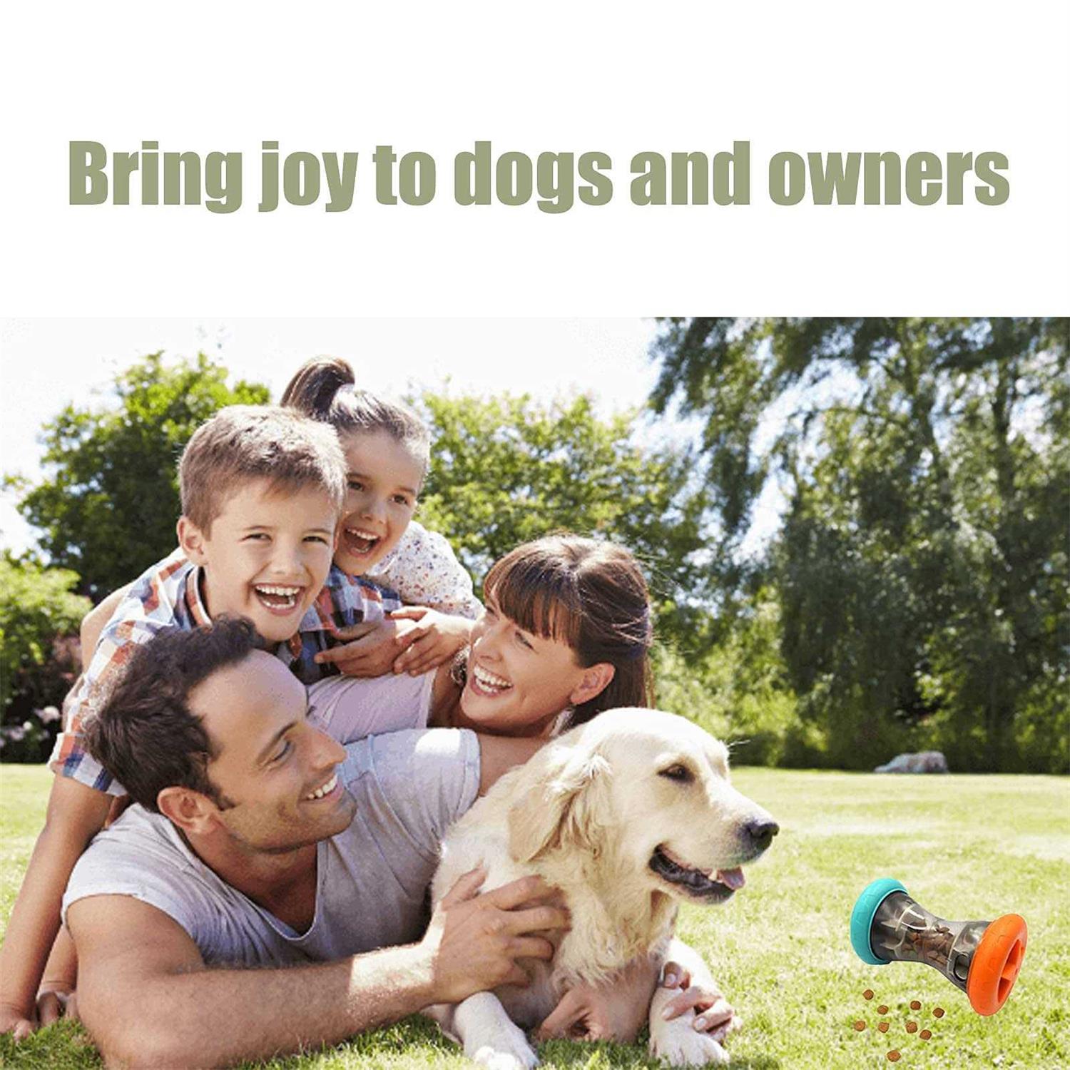 Treat Dispensing Puzzle Toys for Small Dogs O13657