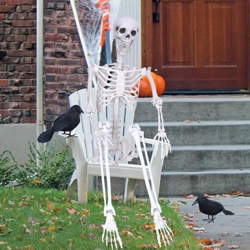 6Ft Posable Plastic Skeleton with 2PCS Black Crows H7620