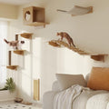 Set of 5 Wooden Cat Wall Shelves with Cat Condo, Scratching Post, Bridge, Hammocks and Scratcher B524536