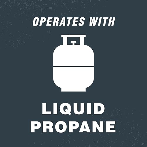 30,000 BTU Blue Flame Propane Heater R811
