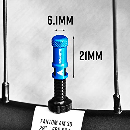 Alloy Tire Valve Cap and Presta Valve Stem Set R658478