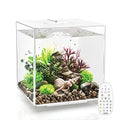 Black Acrylic 8-Gallon Aquarium with LED Lights H596