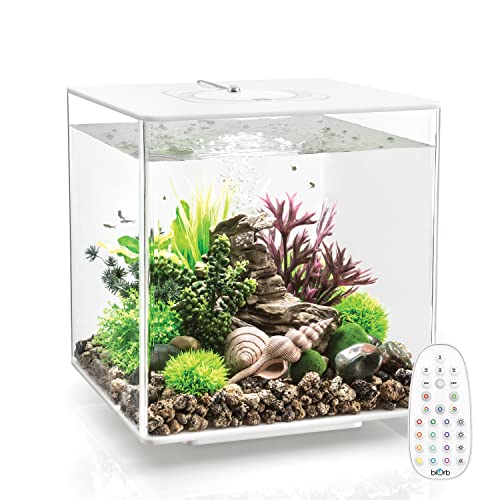 Black Acrylic 8-Gallon Aquarium with LED Lights H596