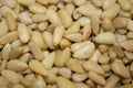 Pine Nuts, 1LB K182