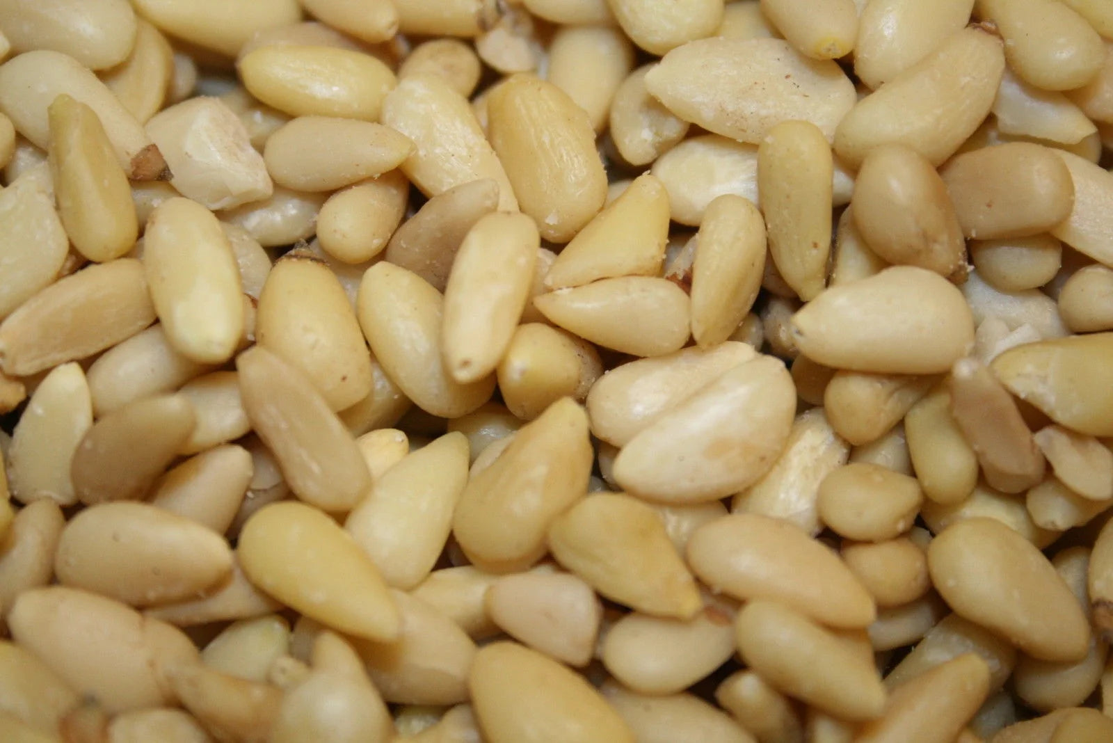 Pine Nuts, 1LB K182