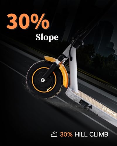 500W Peak Motor Folding Electric Scooter with Dual Suspension E8336
