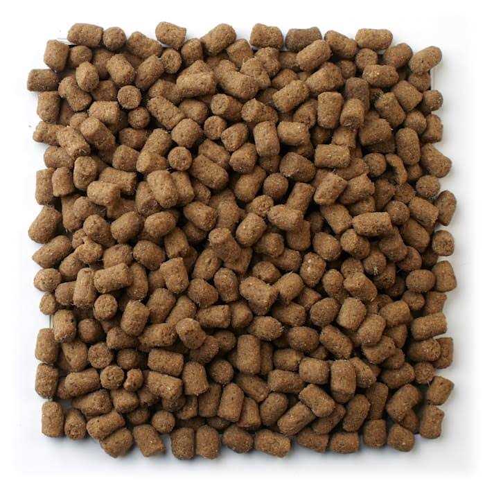 Ferret Diet E8294