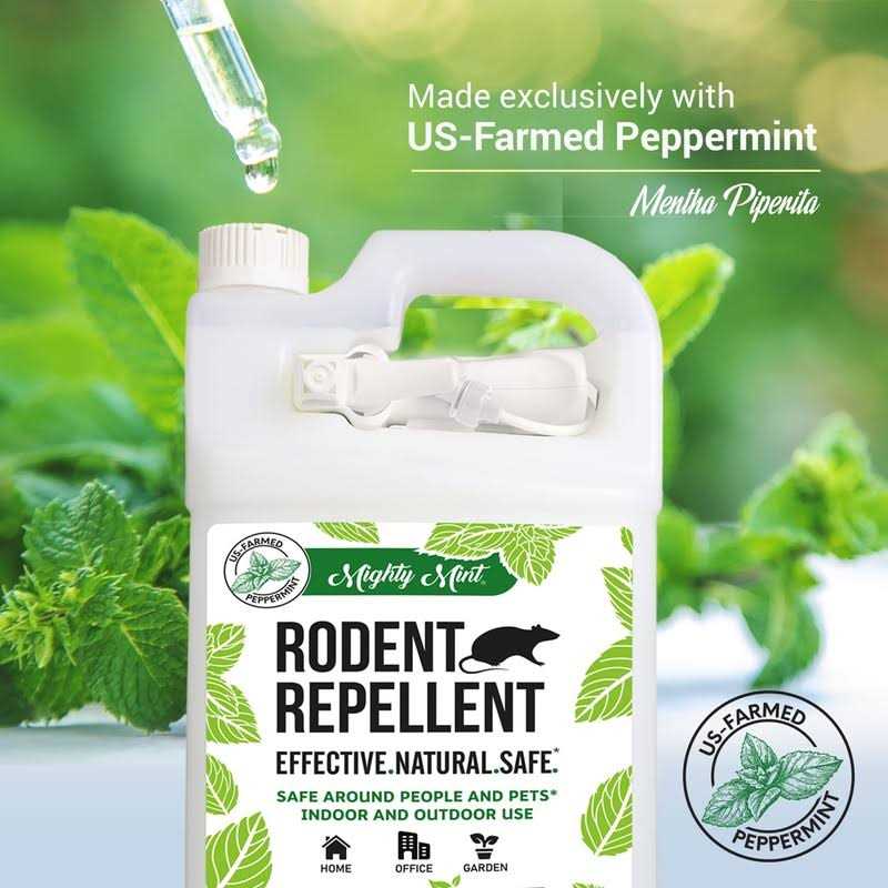 Gallon Peppermint Oil Spray J733995