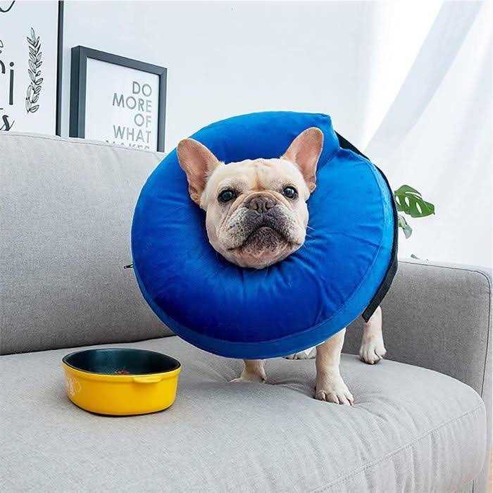 Protective Inflatable Cone Collar for Dogs and Cats E4301