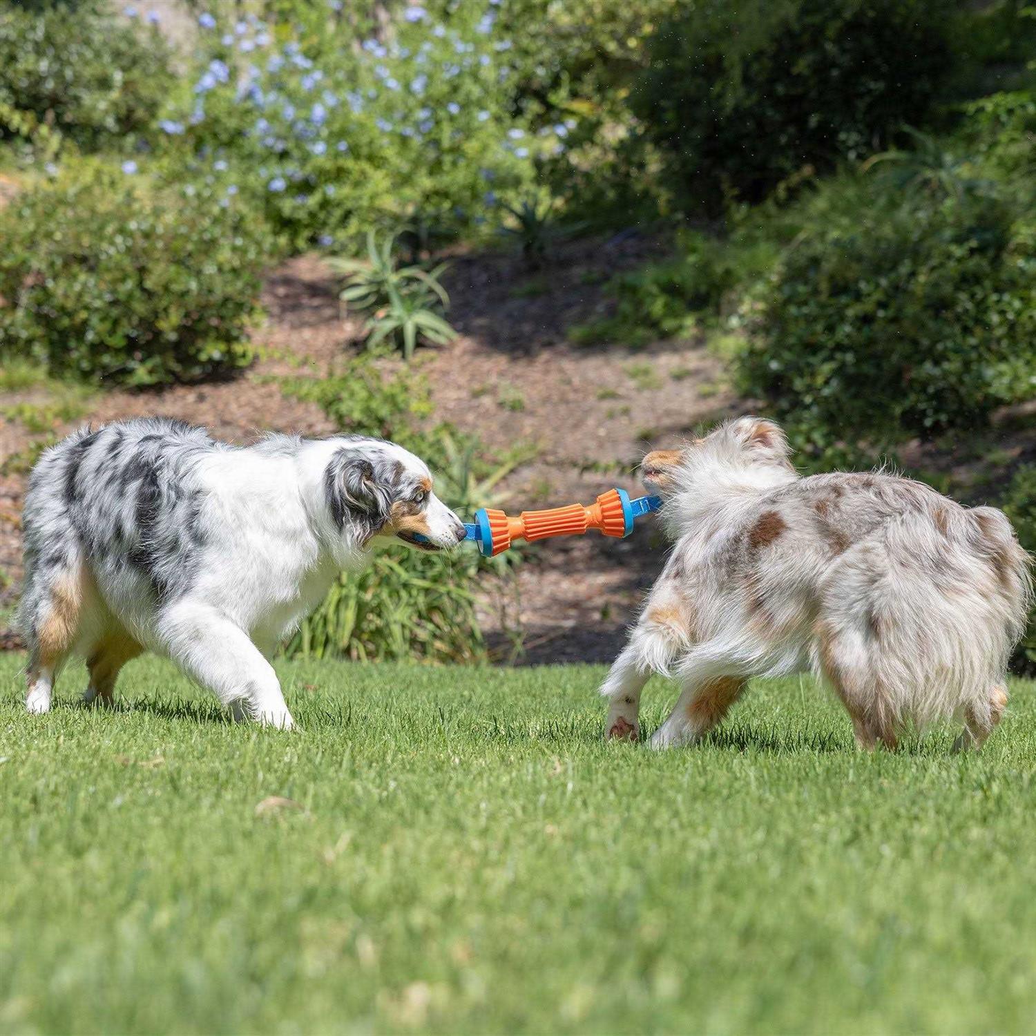 Rugged Bumper Dog Toy U88317