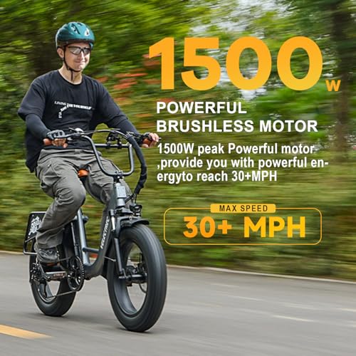 1500W 48V 18AH Removable Battery 20" x 4.0 Fat Tire 7-Speed Electric Bike W162