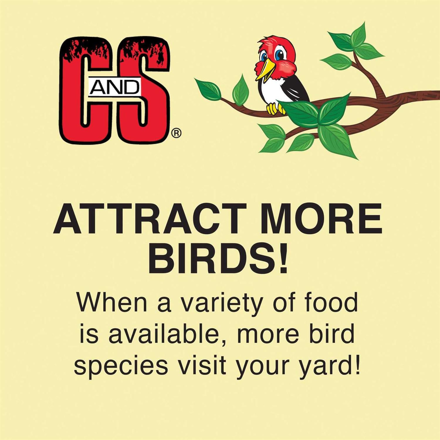 No Melt Suet Dough Wild Bird Food L75792