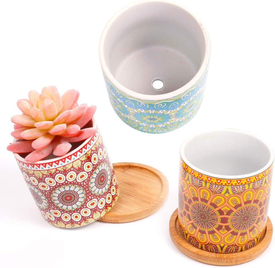 4 pcs 3.0 inches Ceramic Succulent Planters with Bamboo Trays X822