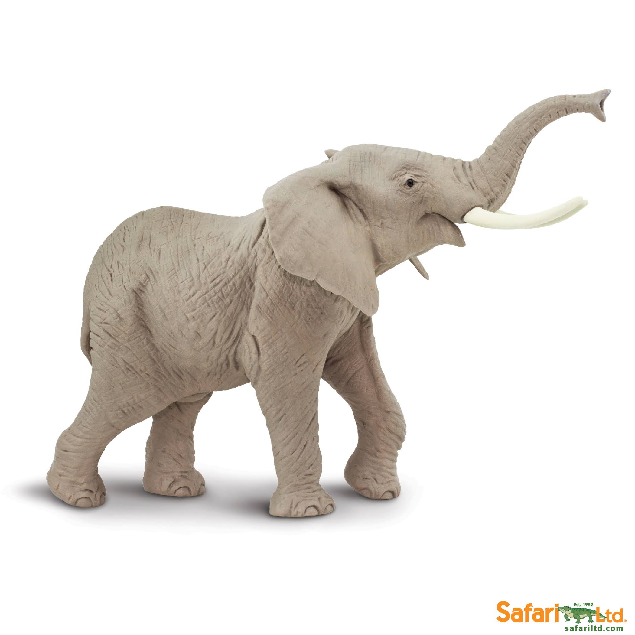 African Elephant T818410
