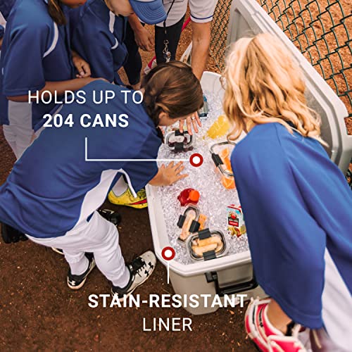 Insulated Portable Hard Cooler L291970