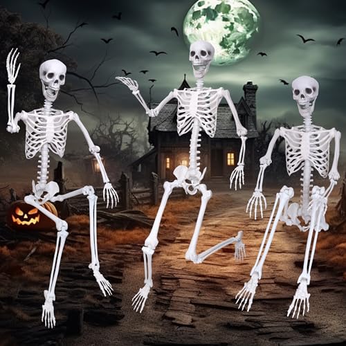 6Ft Posable Plastic Skeleton with 2PCS Black Crows H7620