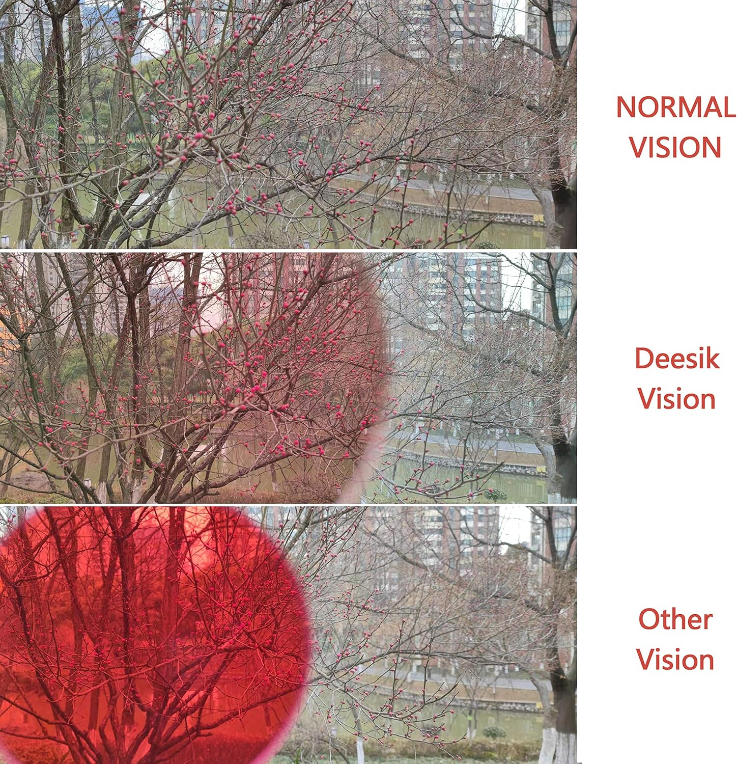 2 Pack Color Blind Glasses W149278